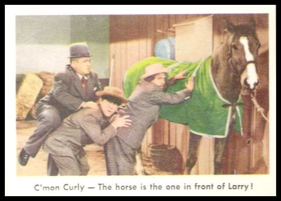 13 Cmon Curly The Horse Is The One In Front Of Larry